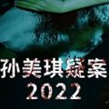 孙美琪疑案2022完整版