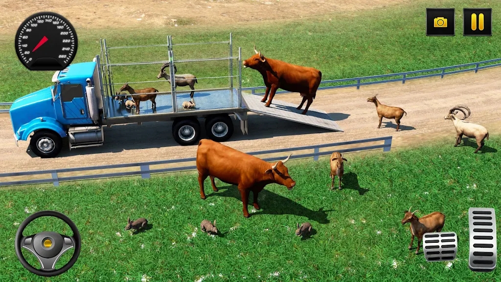 农场动物驾驶模拟器游戏