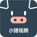 小猪视频小猪视频app最新版下载安装