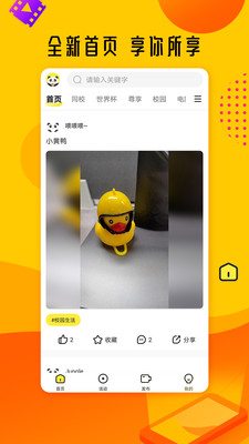 熊猫视频色板app